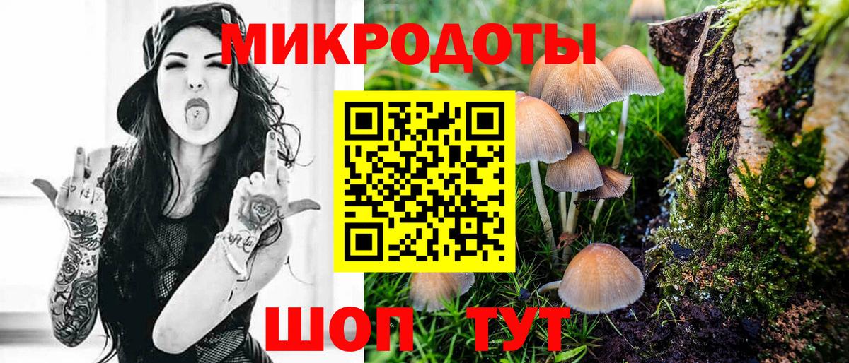 Галлюциногенные грибы GOLDEN TEACHER Абинск