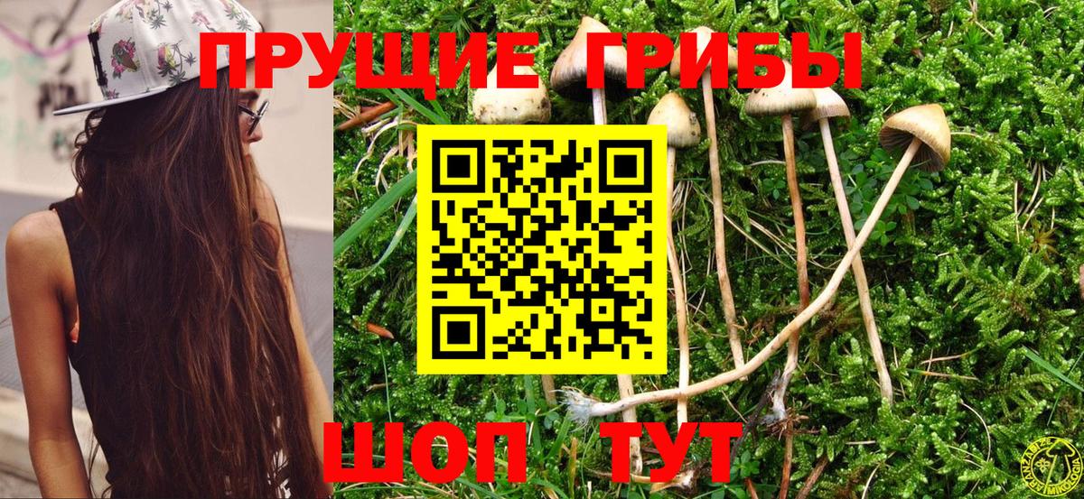 Галлюциногенные грибы GOLDEN TEACHER  Вход с VPN  Абинск 